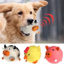 Brinquedo de Voz para Cães