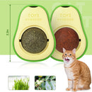 Brinquedo Abacate Catnip para Gatos