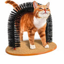 Arco Massageador e Escova para Gatos