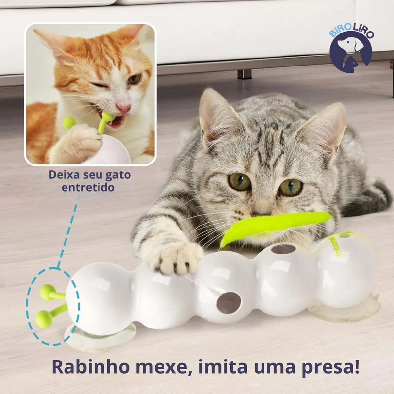 Minhoquinha Interativa para Gatos