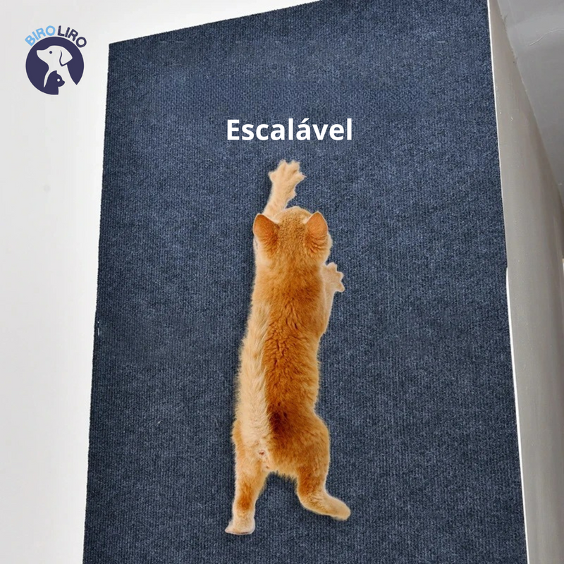Protetor de sofá para gatos