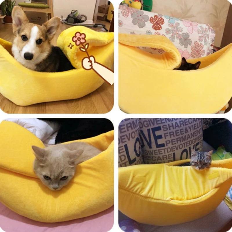 Caminha de Banana