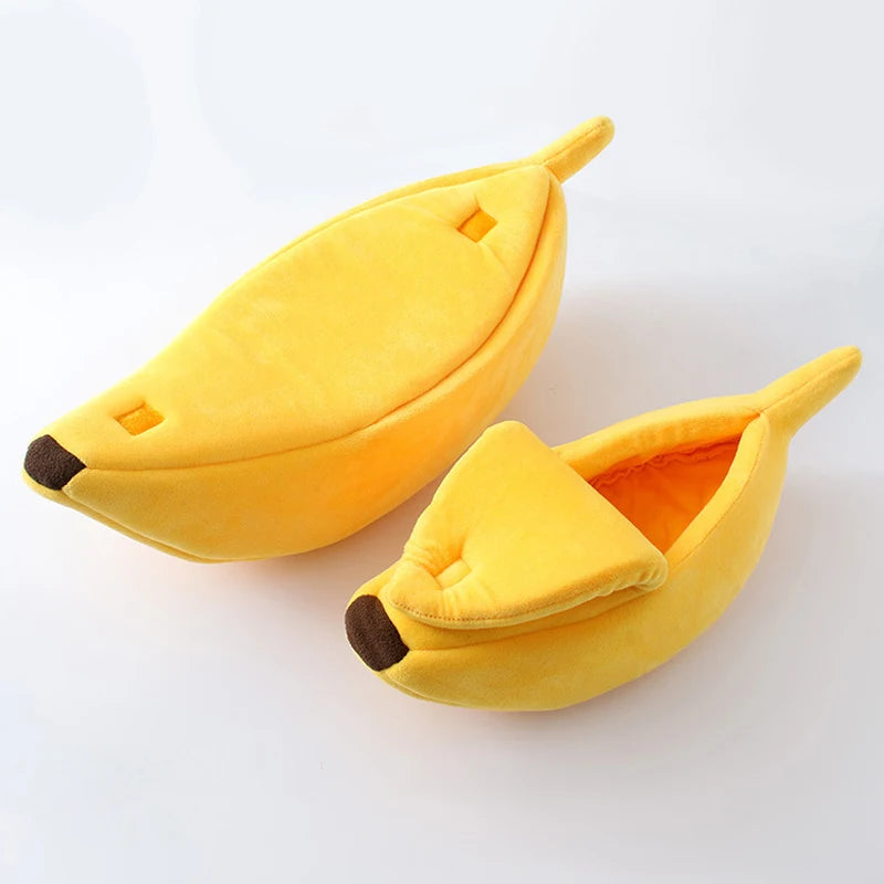 Caminha de Banana