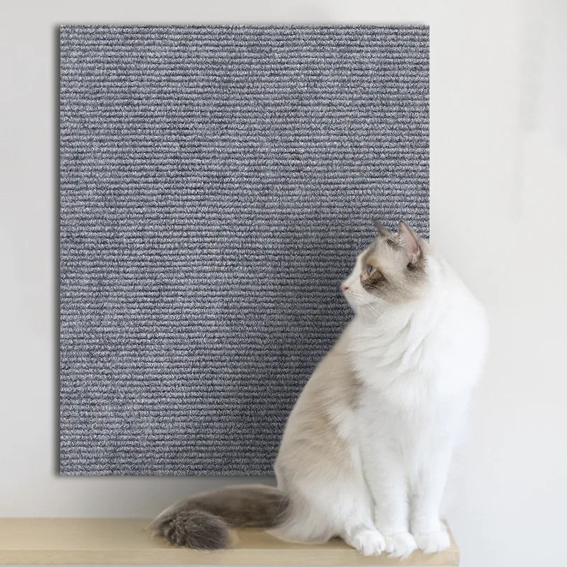 Protetor de sofá para gatos