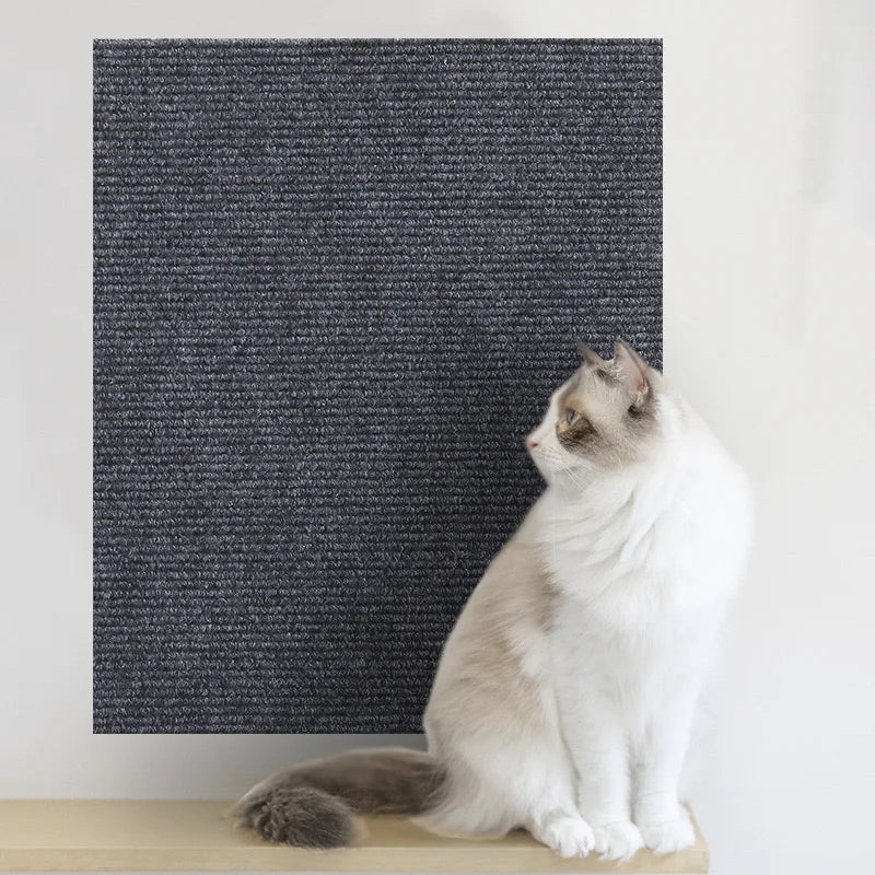 Protetor de sofá para gatos