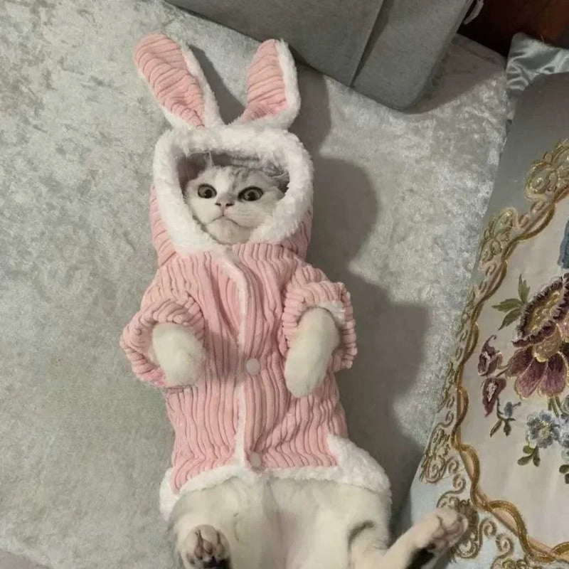 Casaco Coelhinho para Gatos e Cães Pequenos