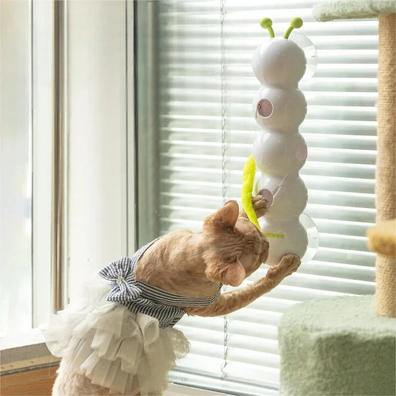 Minhoquinha Interativa para Gatos