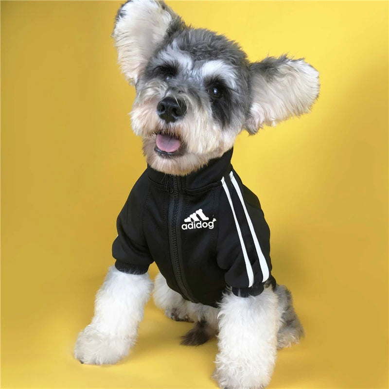 Adidog Jaqueta Esportiva