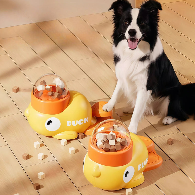 Comedouro Inteligente para Cães