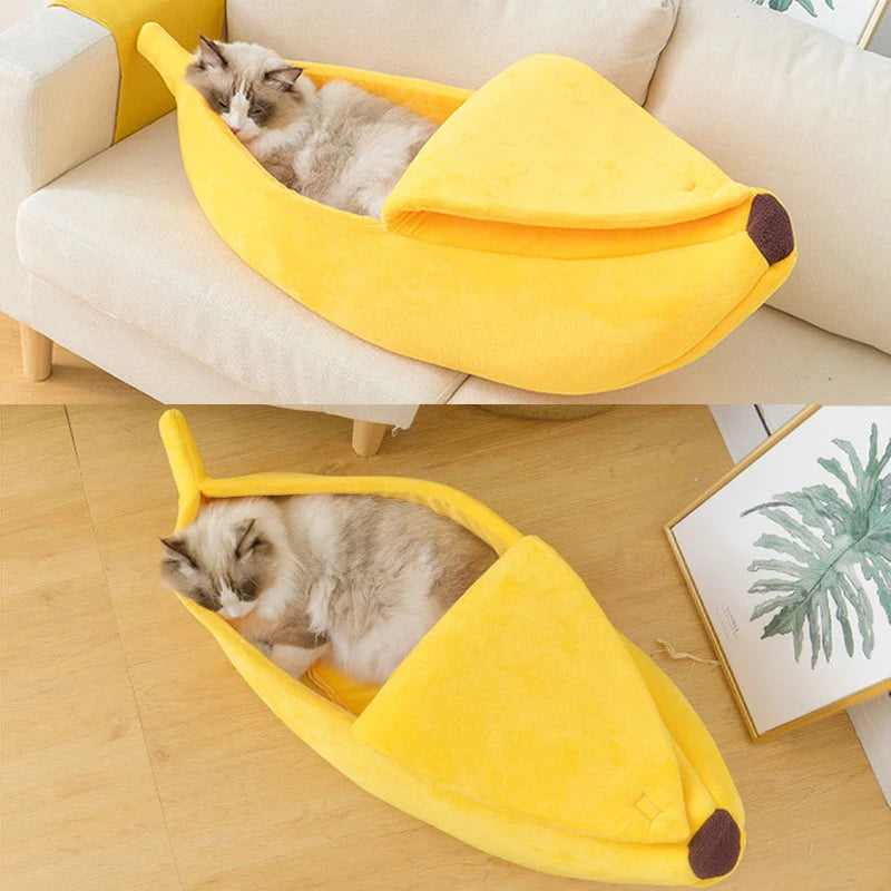 Caminha de Banana