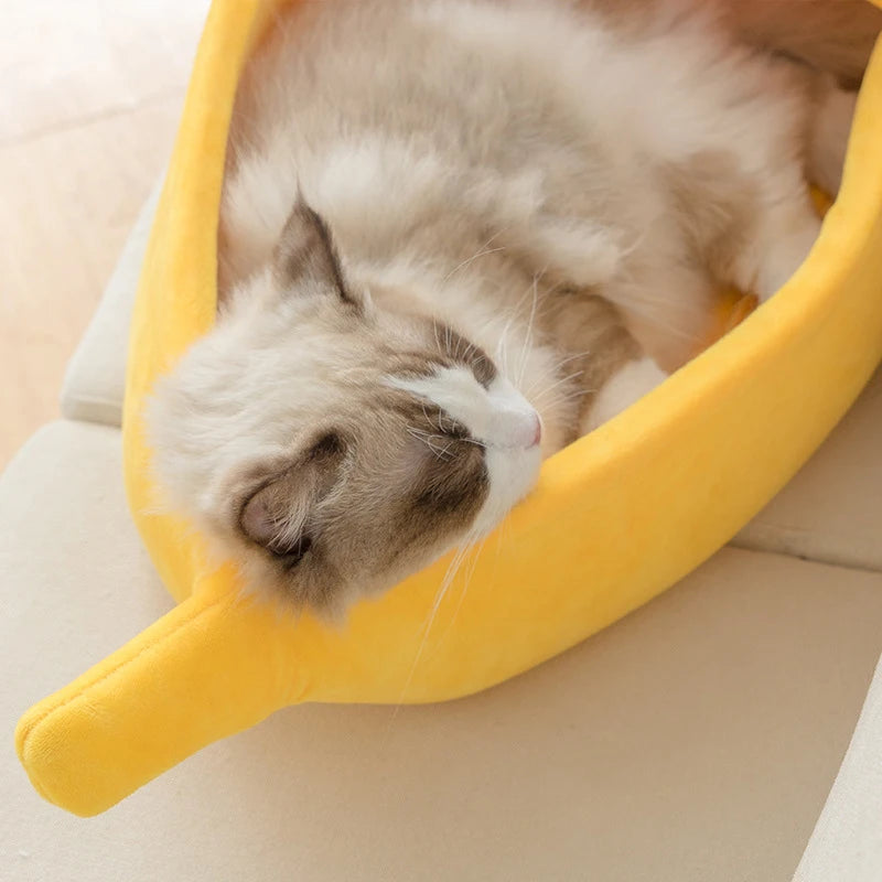 Caminha de Banana